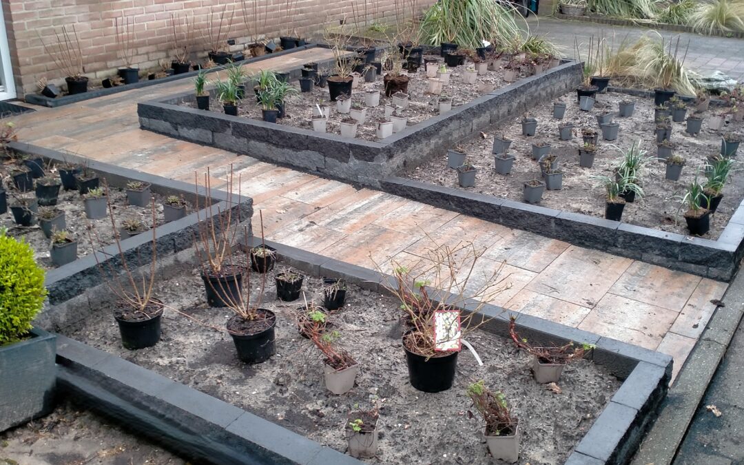 Beplanting Veenendaal